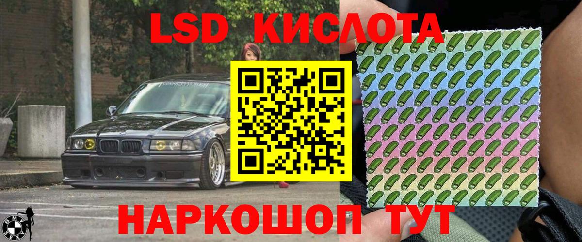 ГАШ Ржев