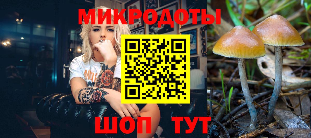 Ржев  Галлюциногенные грибы Psilocybe  Галлюциногенные грибы GOLDEN TEACHER  Вход с VPN 