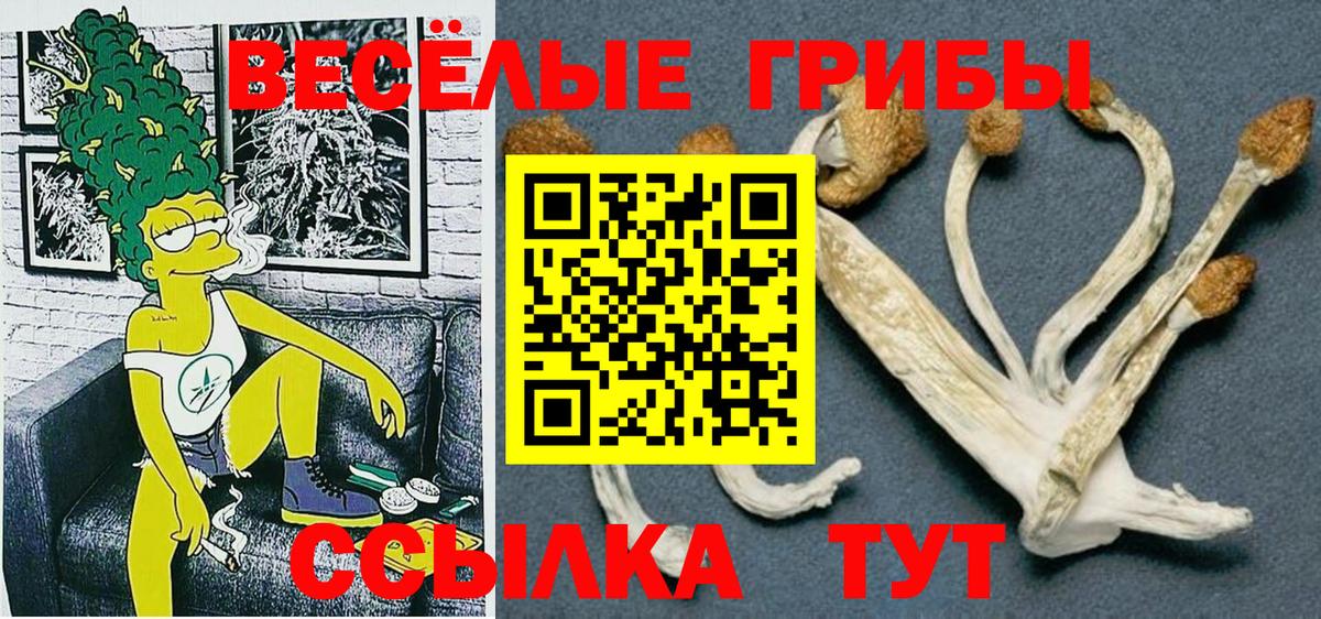 Галлюциногенные грибы мухоморы Ржев